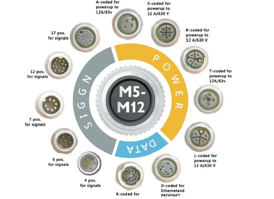 M12 সিরিজ বৃত্তাকার তারের সংযোগকারী সকেট 12 পিন পিছন স্ক্রু প্যানেল মাউন্ট